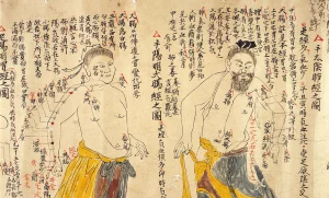 Traditional Chinese acupuncture Prudhoe